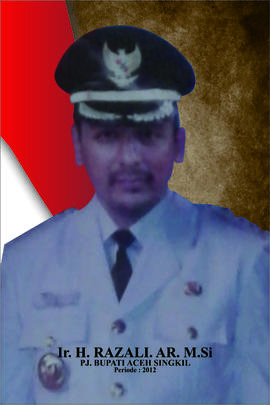 Ir. H. RAZALI.AR.MS.i