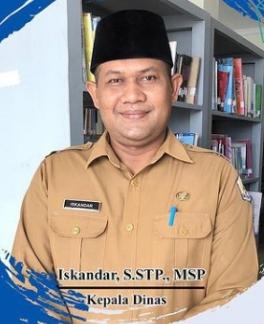 Kepala Dinas Perpustakaan dan Kearsipan 11, Iskandar, S. STP., MSP